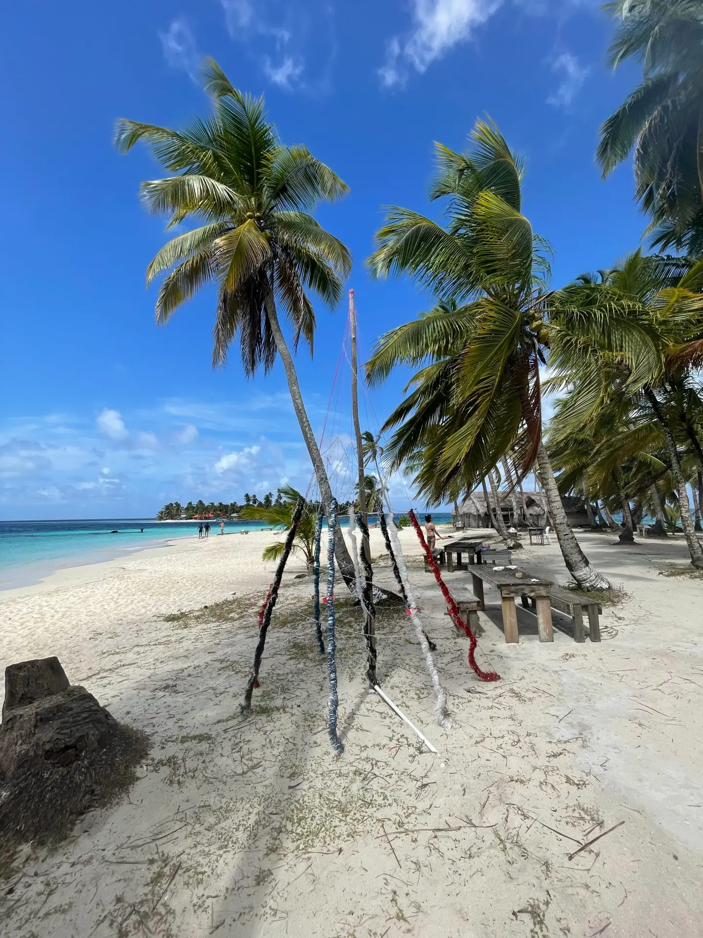 Beach view of Dog Island. The locals have fashioned a makeshift Christmas tree from tinsel and sticks.