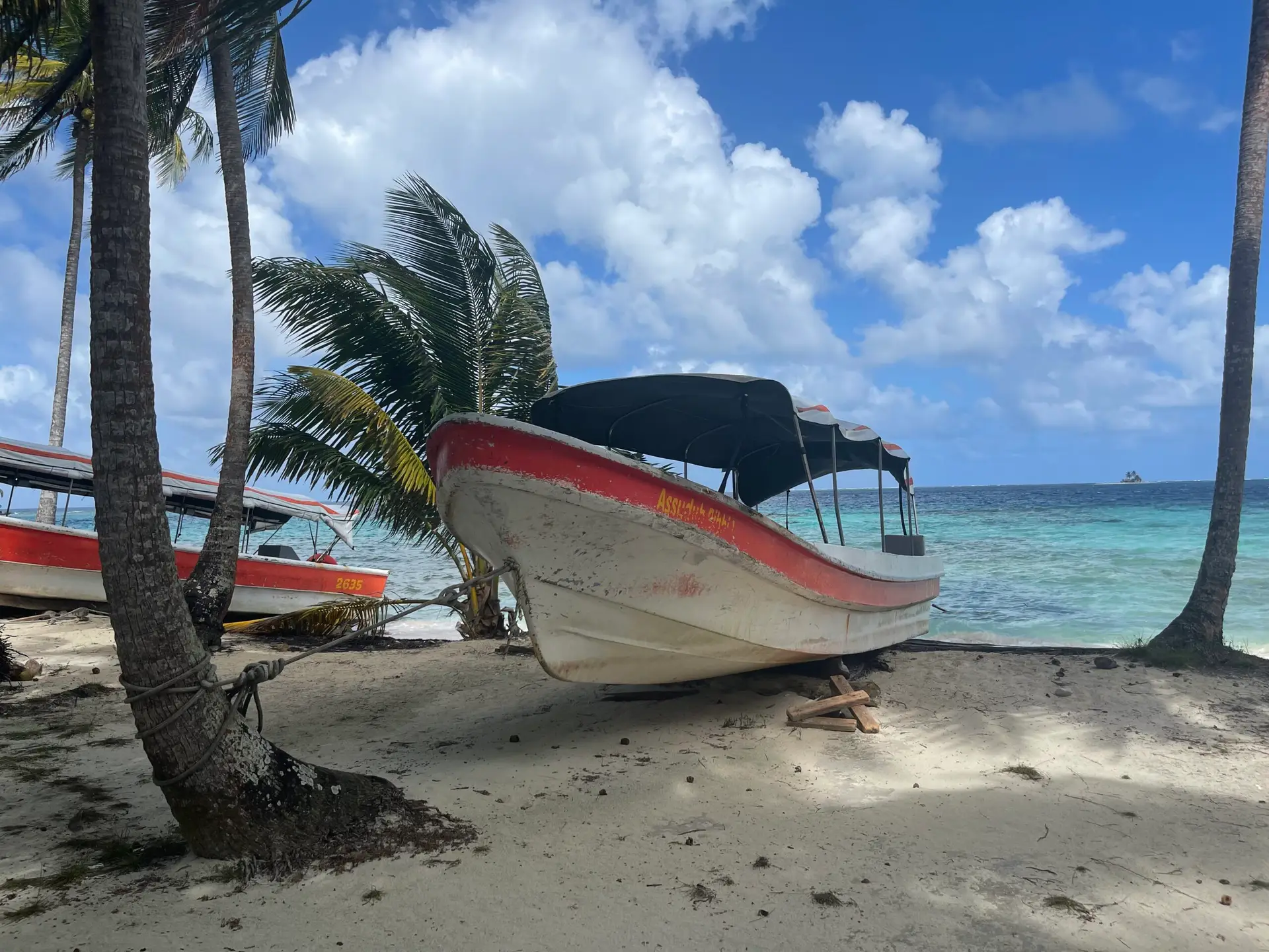 Palm trees and a colorful moored tour boat on San Blas