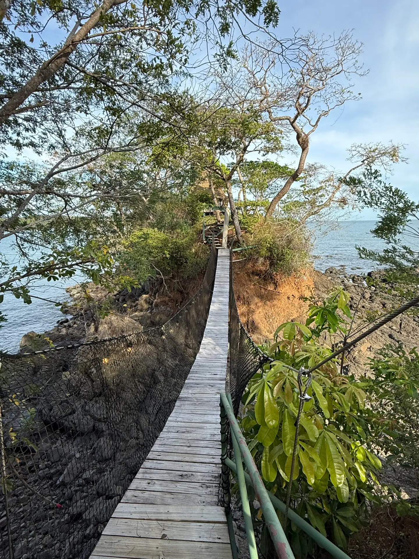Monkey Bridge to the Spa at Selva Terra Resort, Isla Boca Brava