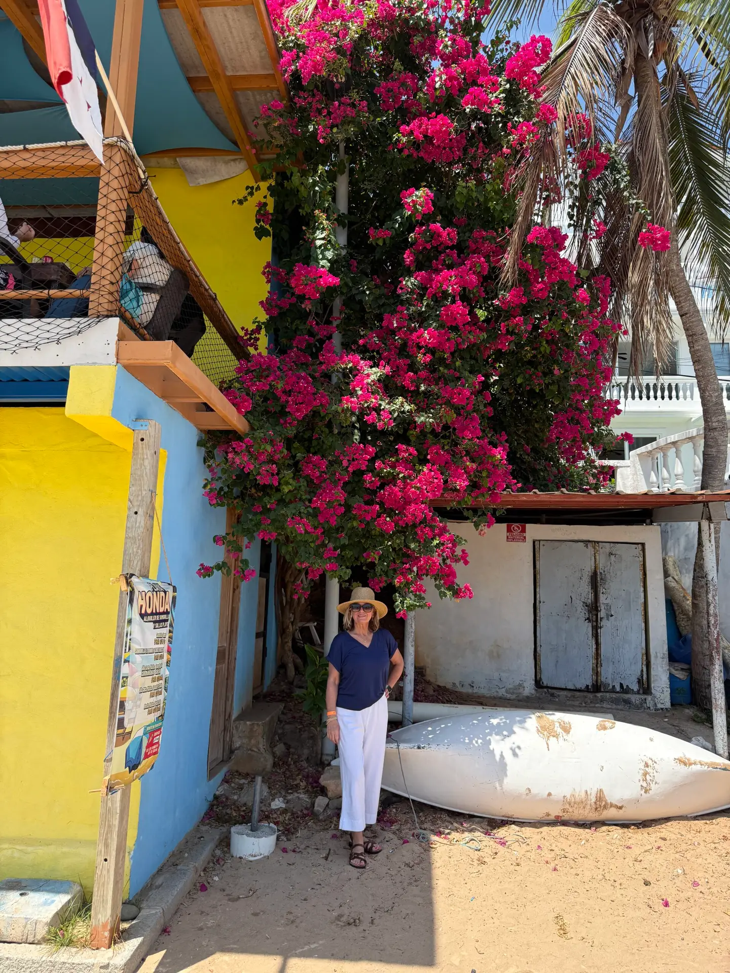 The author standing beneath a tall tree with vibrant red blooms on Taboga Island, Panama