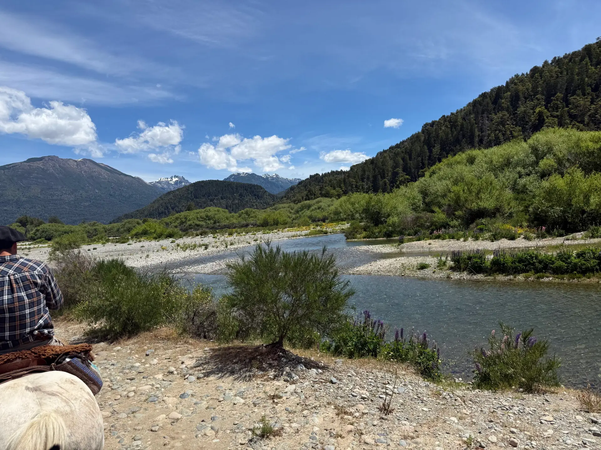 Landscape inside Lago Puelo National Park along the river