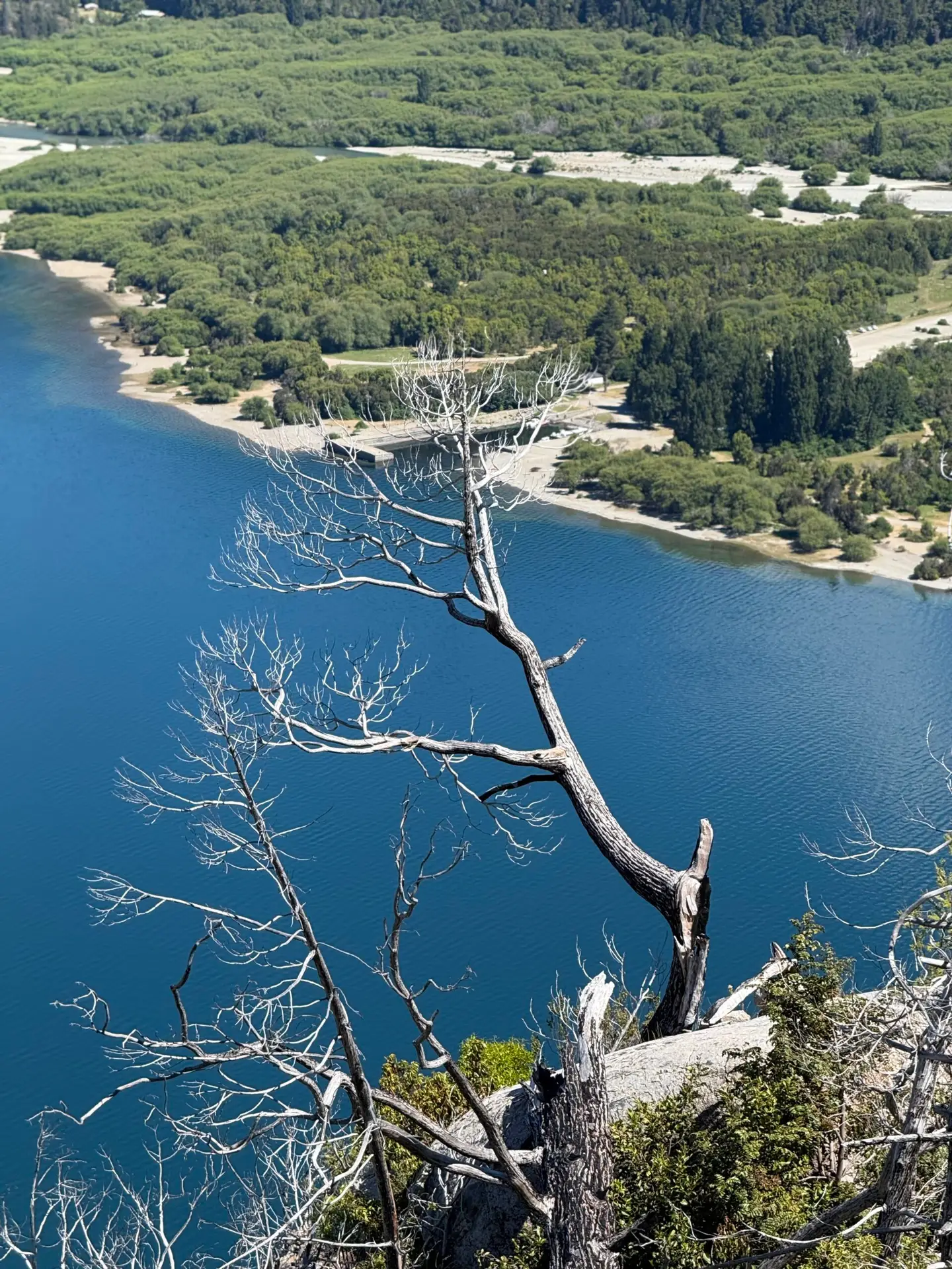 Lago Puelo photo from a mountain overlook. A dead tree pops against the blue of the lake