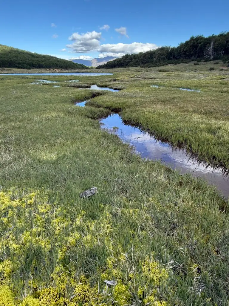 Argentina's Patagonian Region is the new Old West. Andes Mountains in the background. Lush green grass with a creek cutting through in the foreground.