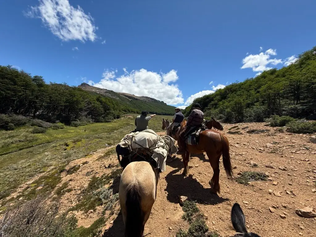 Our group emerging from the forest to reach our camp up ahead