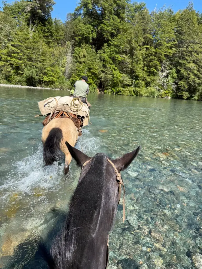 The final river crossing of the trip. The author is behind one of the guides and his packhorse.